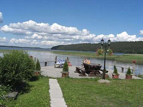 Villa vuorikotka