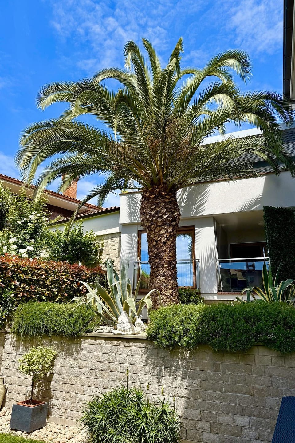 Apartment Superior für 2 Personen - Portorož