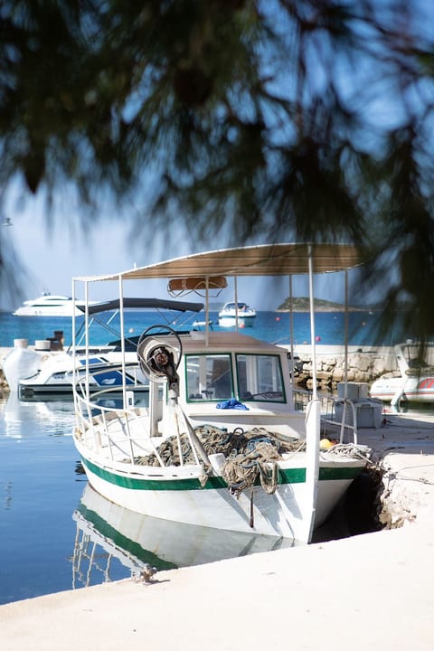 Strandhaus Lady - Ferienanlage Bain, Žut - Kornati