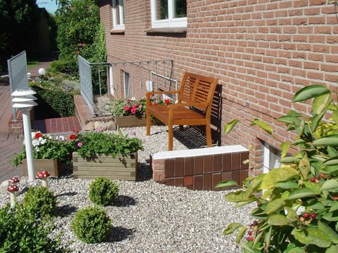 Zwergmöwe in Neue Tiefe