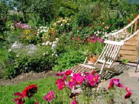 Wildfeuer