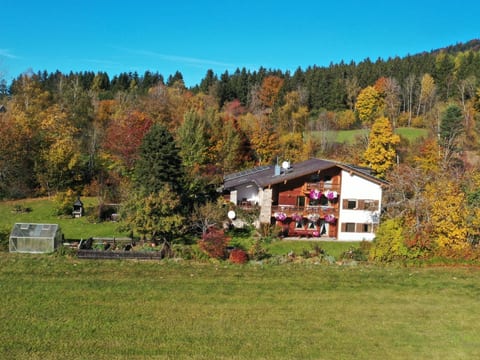 Wildfeuer