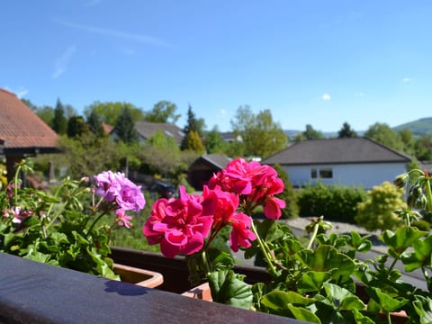 Tolle Wohnung in Hilders mit Eigenem Balkon
