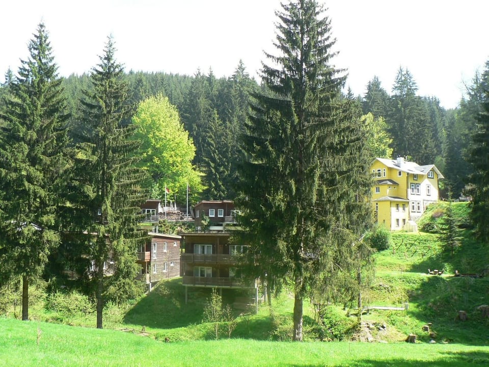 para 6 personas en el Bosque de Turingia - Großbreitenbach