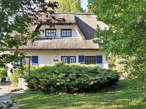 Haus-Zauberblau