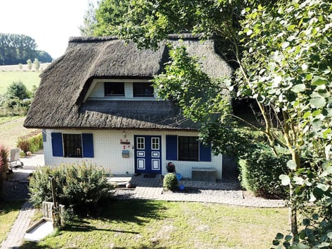 Haus-Zauberblau