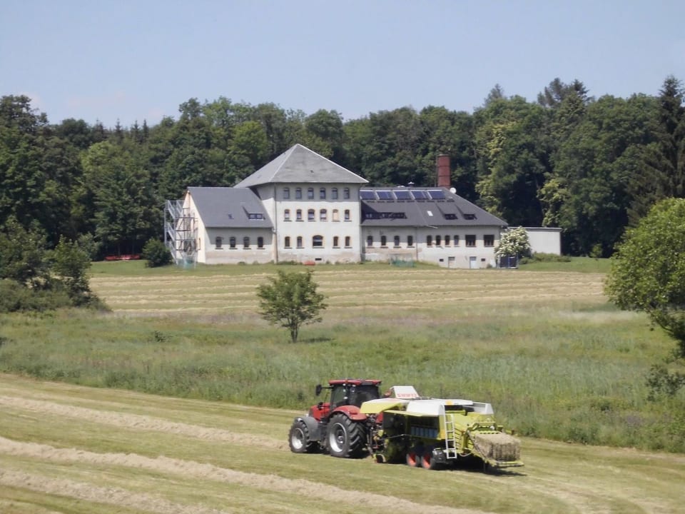 Wolfsgrund - Sayda