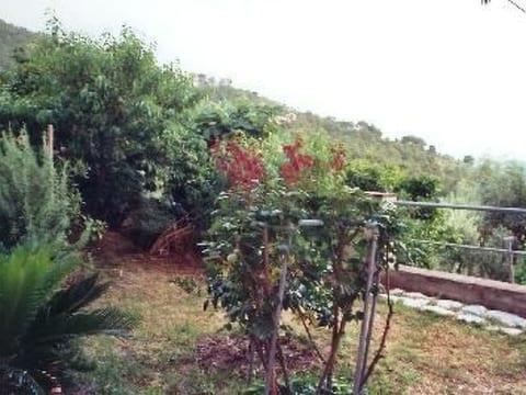 in panoramischer Lage