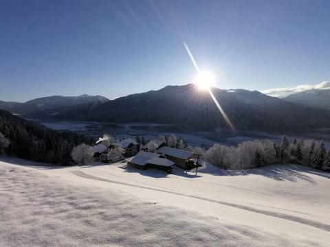Waldpension in Steinfeld