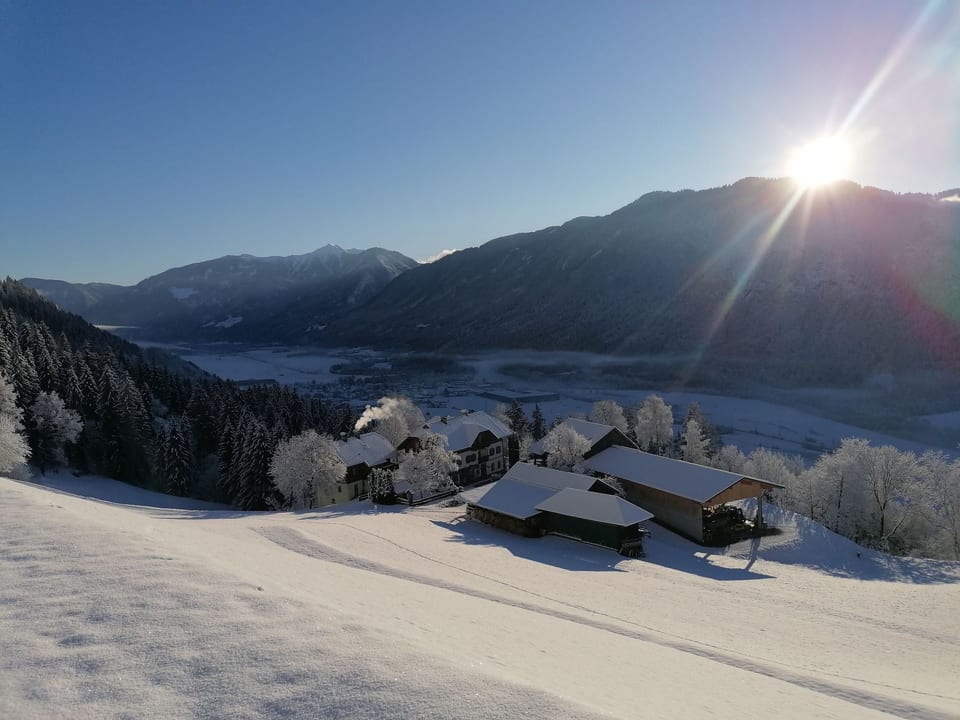 Waldpension Ranner - Steinfeld