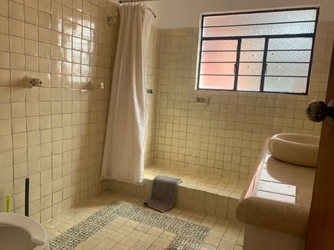 Coyoacan Zentrum Loft