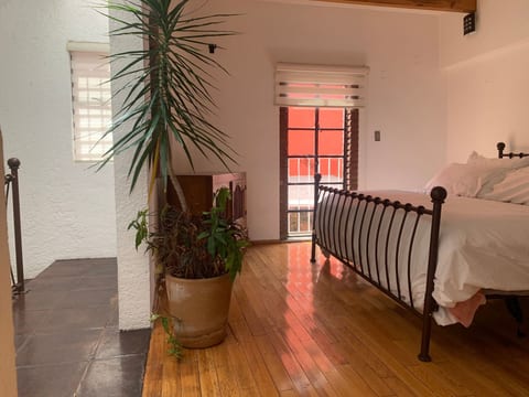 Coyoacan Zentrum Loft