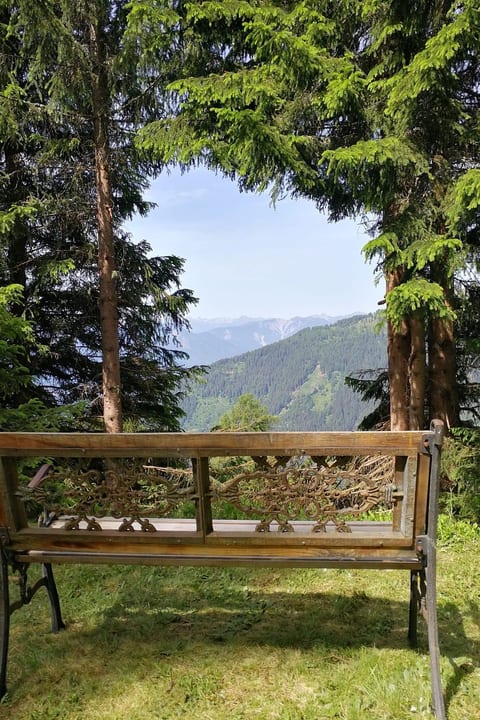 Almhütte Enzian