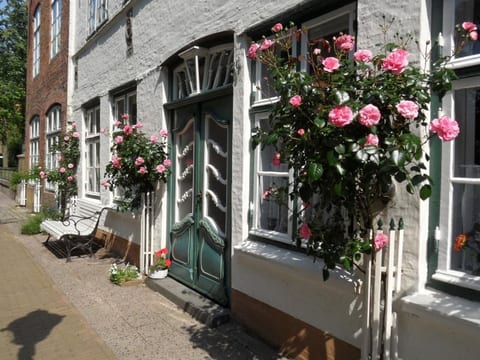 in Friedrichstadt mit Garten