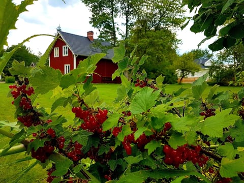 Särskilda