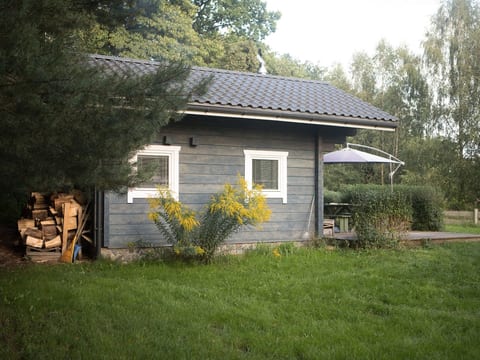 Saunabereich im Circle - Blue House