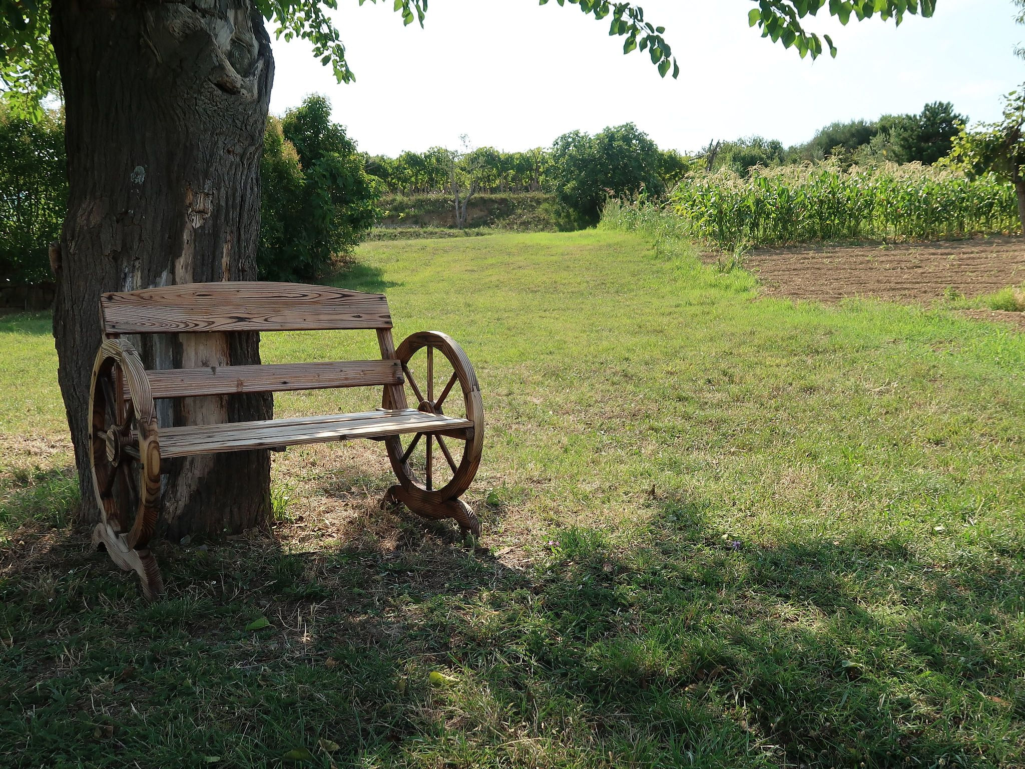 Appartement mit Balkon