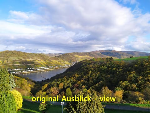 mit Balkon und Rheinblick