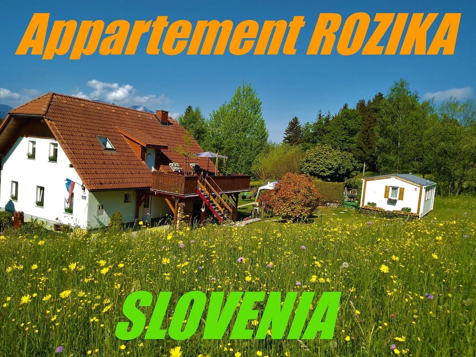 Wohnung Rozika - Slovenj Gradec