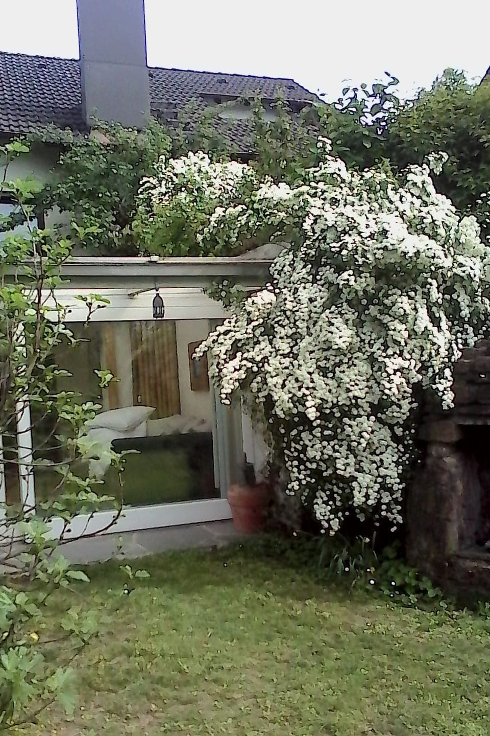 Urlaub am Feigenbaum in Nußloch - Nußloch