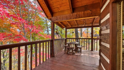 Morning coffee, fall edition. Pull up a seat on the covered deck and watch the maples blaze red and orange.