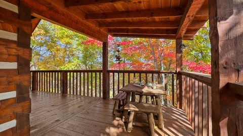 Golden hour on the porch. Sunlight filters through the fall leaves and paints the deck in warm autumn light.