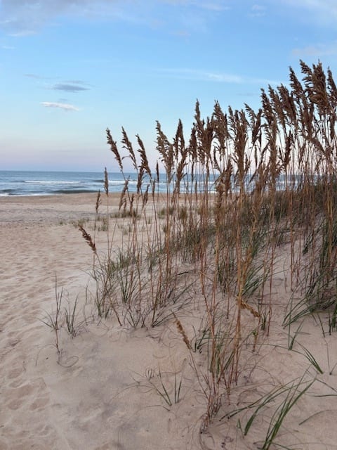 Natural, expansive beach