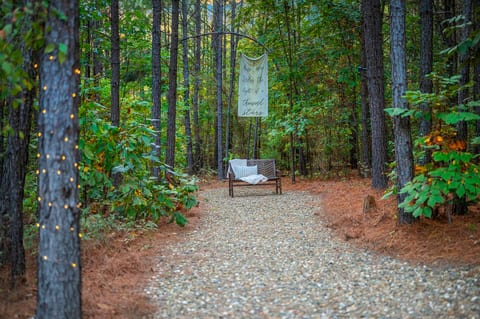 🌲 A secret spot for morning coffee or quiet moments