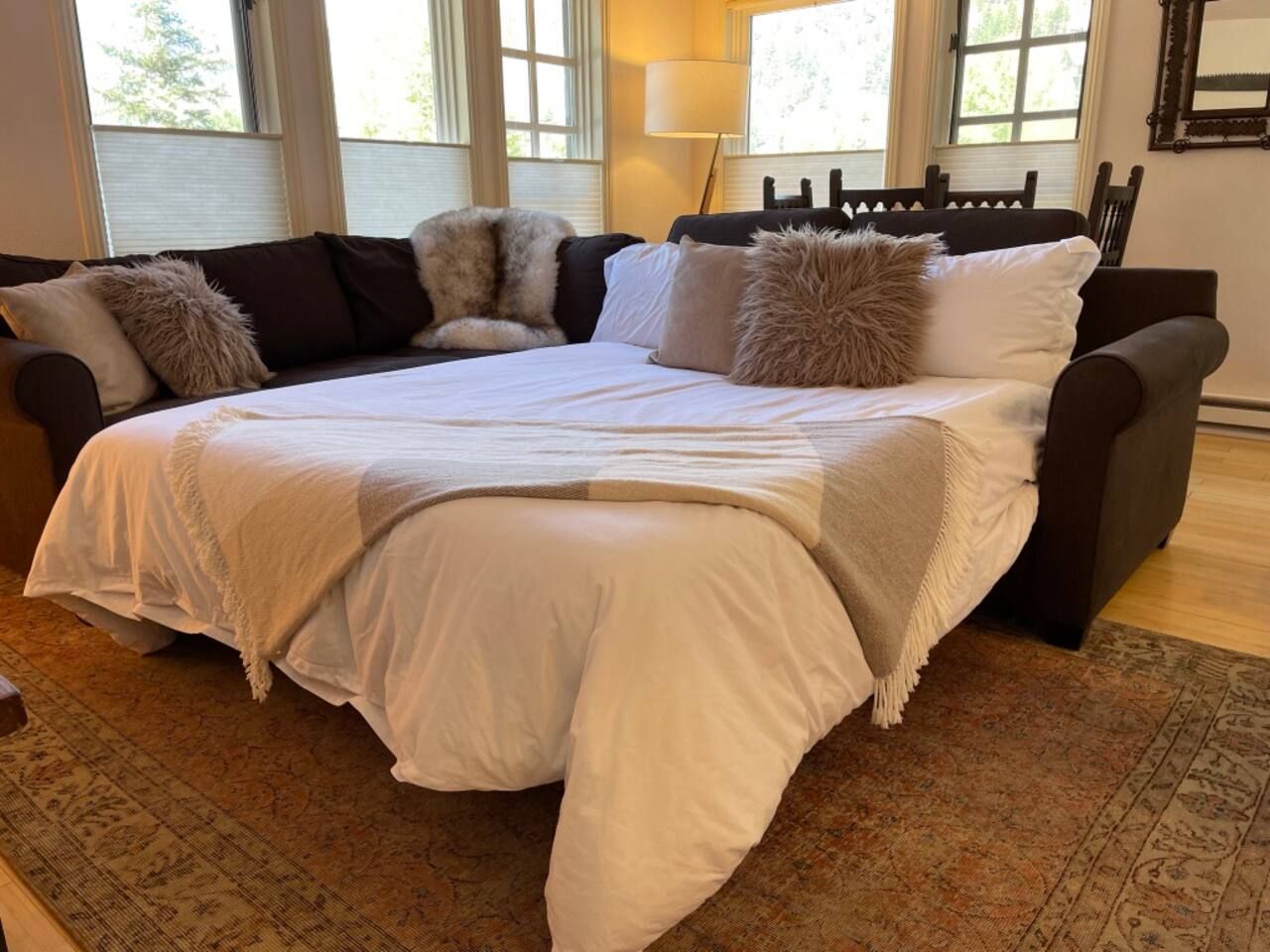 Cozy pull out couch bed in the living room.