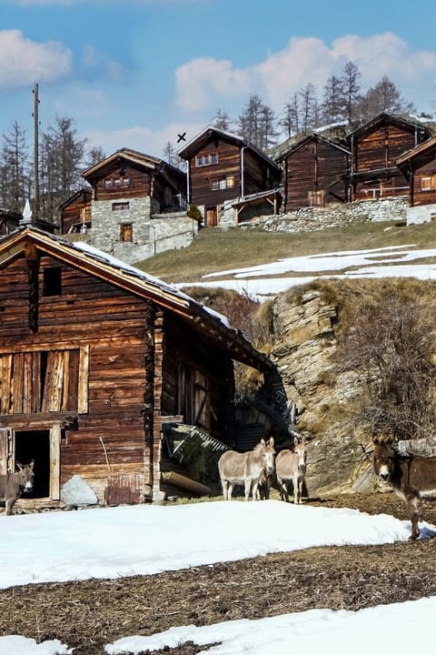 Chalet 1679