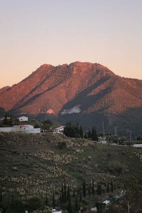 Finca "La Estrella de Cómpeta".