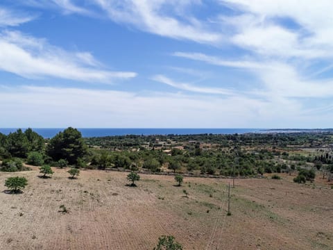 Almendras
