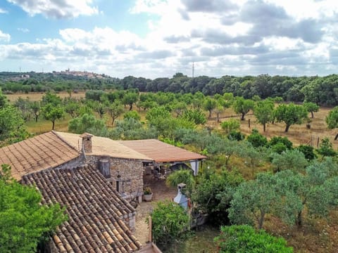 Higuera