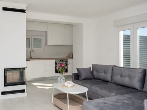 "Luxury Grey house"