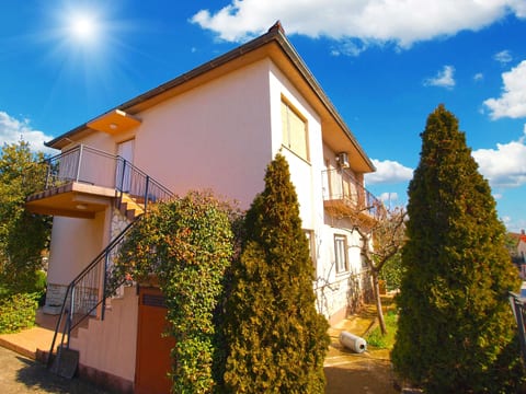 Apartment 1554