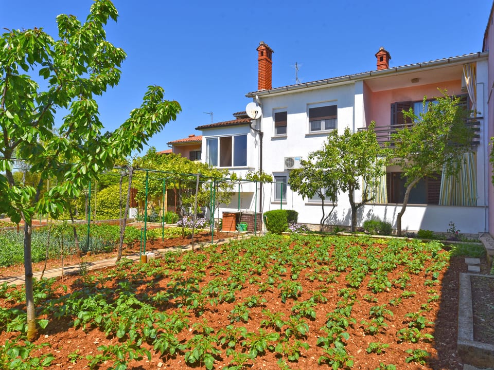 Apartment 1230 - Pula