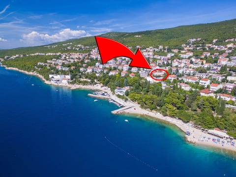 Domino Restaurant 6 / HR-09502-06