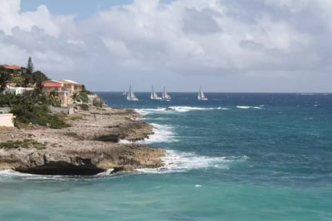 Seneca Suite - Point Blanche