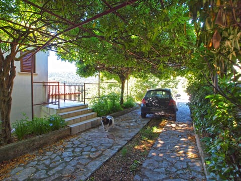 Apartment 981