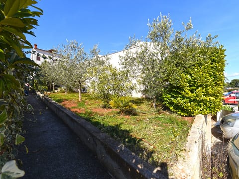 Apartment 1562
