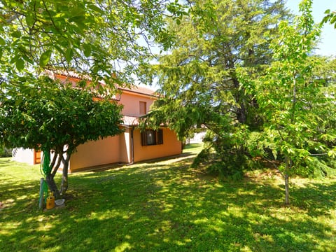 Apartment 667