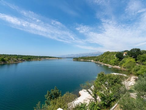 House Ribnica