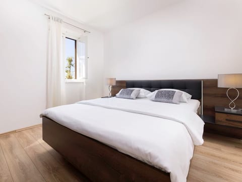 Apartment Ruza