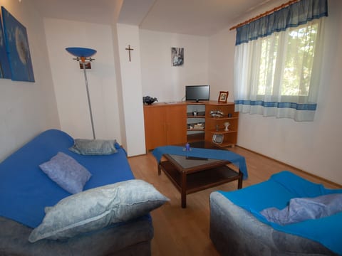 Apartment Dajdzic - 2