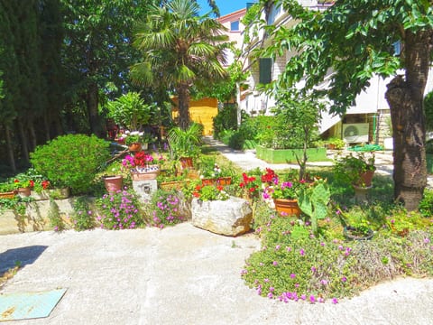 Apartment 961