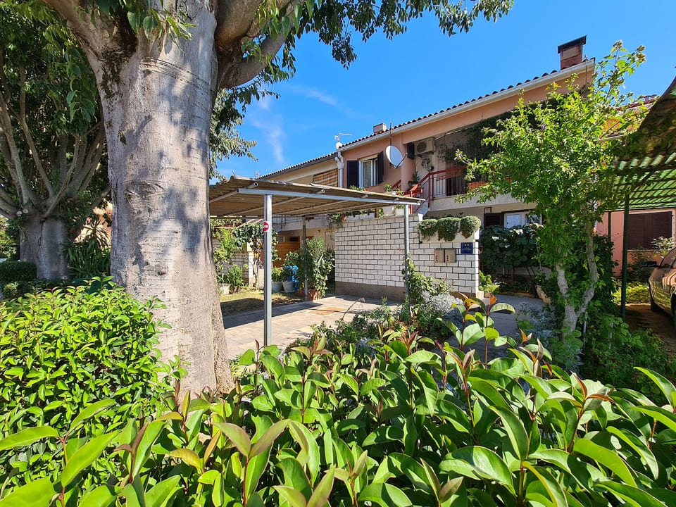 Apartment 1387 - Fažana