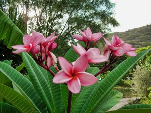 Casa Coloris
