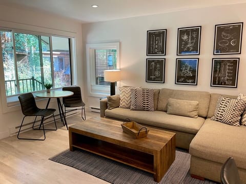 Downtown Telluride Riverside Condo - Boomerang