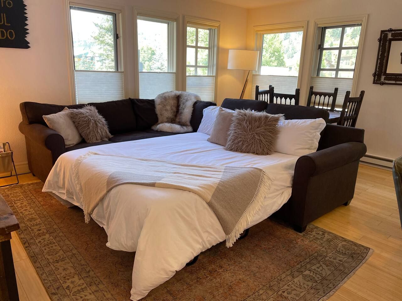 Cozy queen size pull out couch bed