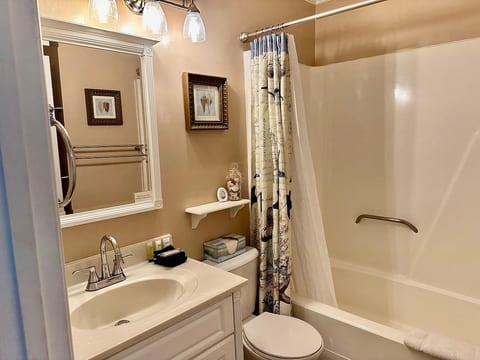 Tub/shower combo